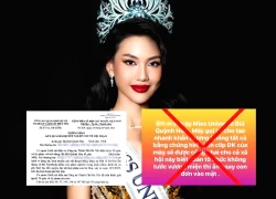 Khởi tố hình sự Hương Ly về tội vu khống Bùi Quỳnh Hoa, công an tuyên bố căng!
