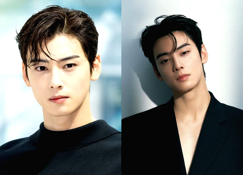 Cha Eun Woo evaded 20 billion won in taxes, was ordered to pay 50 times his contract value in damages, and was banned from the K-pop industry.