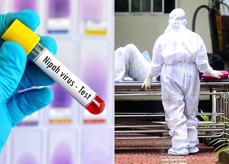 Chuyên gia: Người dân cần bình tĩnh, hiểu biết để phòng bệnh do virus Nipah