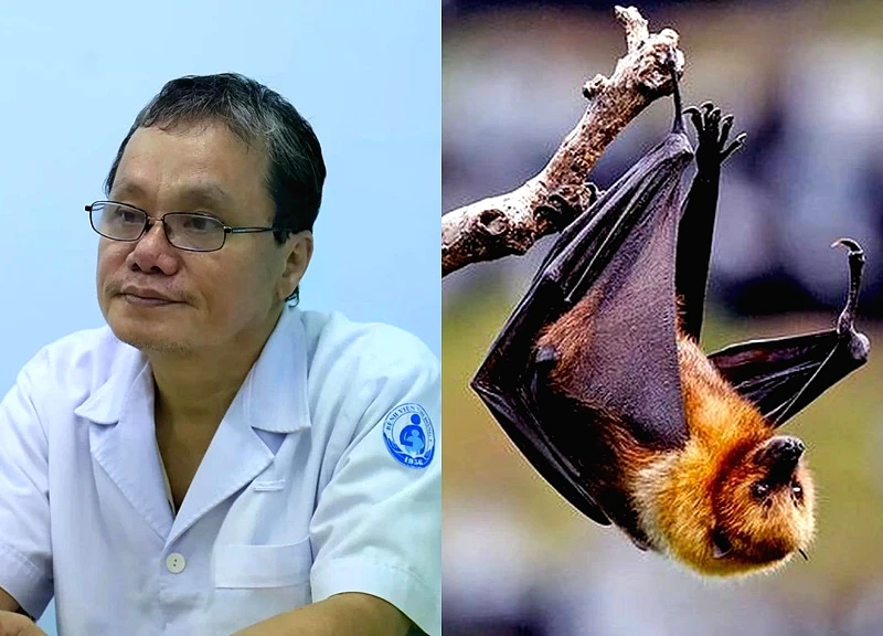 Tiết lộ thêm sự thật về virus Nipah đang gây lo sợ