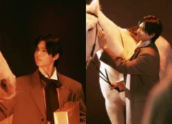 Park Bo Gum gây sốt với visual 'hoàng tử cưỡi bạch mã'