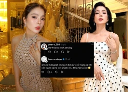 Lệ Quyên 'văng tục' đốp chát fan, lộ dấu hiệu tinh thần bất ổn, CĐM tẩy chay?