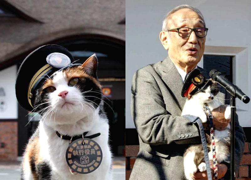 A cat has been appointed station master at a Japanese train station, a mysterious tradition that has lasted nearly 20 years.