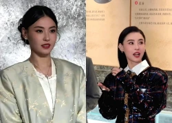 Trương Bá Chi: Vươn lên từ khó khăn, bị người thân cận tố nhiều tính xấu