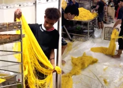 Lò mì tươi ở TP HCM bị bắt quả tang trộn hàn the, 800 tấn tung ra thị trường