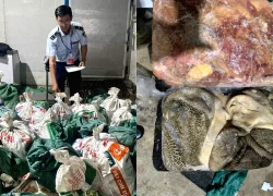 Ho Chi Minh City authorities discovered over 18 tons of offal and beef of unknown origin just before Tet (Lunar New Year).