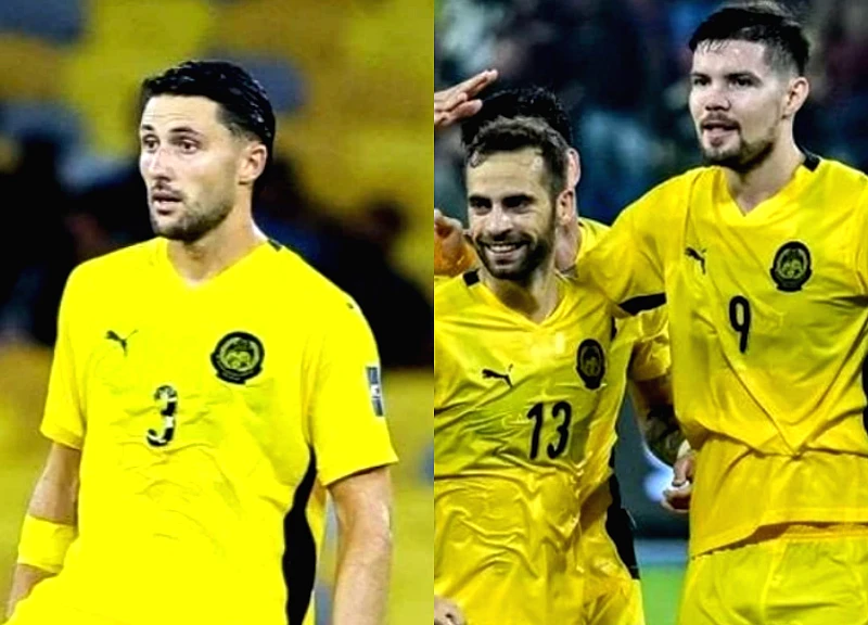 CĐV Đông Nam Á phản ứng gay gắt với dàn nhập tịch Malaysia