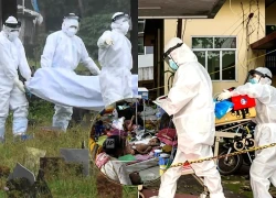 WHO xác nhận ca nhiễm virus Nipah đã qua đời, Ngành Y ra thông báo khẩn cấp.