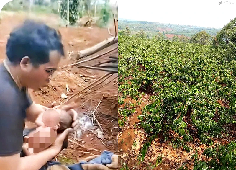 Cô gái 17 tuổi thừa nhận tự sinh con, đem bỏ vì quá sợ hãi