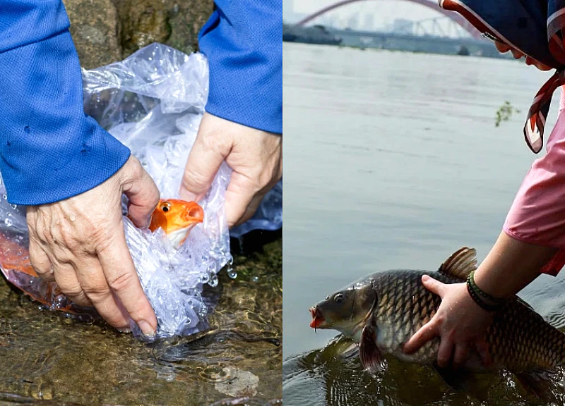 Người dân TP.HCM ra giữa sông tiễn ông Công, ông Táo