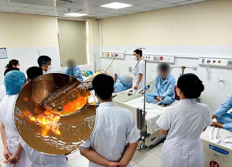 Thanh Hoa: 13 people poisoned after eating eggs of a certain fish species; police investigate, doctors say it's shocking!