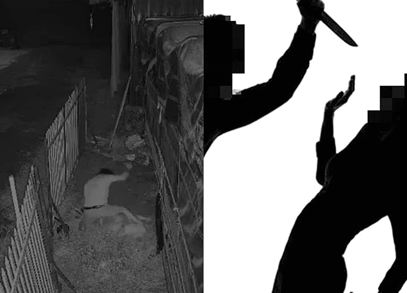 Đồng Tháp: Chồng đâm vợ bất chấp con nhỏ cầu xin "cha đừng xử lý mẹ"