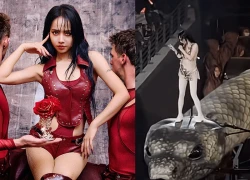 'Thiên hậu' Thái Y Lâm cưỡi rắn nghi làm thủ tục tâm linh ở concert bị cấm sóng?