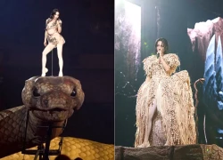 Biểu tượng rắn khổng lồ bị loại, fan Thái Y Lâm thất vọng, đòi trả vé