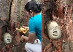 Khuôn mặt Phật 'mọc' ra từ cây bồ đề, dân tứ xứ đổ về, lộ hiện tượng tâm linh?