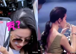 Liu Yifei fears her secret will be revealed, so she spends 3.8 billion yuan annually to hide one photo.