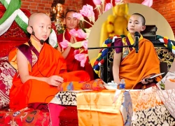 Hoàng tôn Vairochana Rinpoche sắp đến Việt Nam, gieo duyên lành hiếm có khó tìm