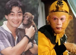Sự thật về Tôn Ngộ Không, từng bị từ chối vì diễn dở, gặp lần 2 gây ngỡ ngàng
