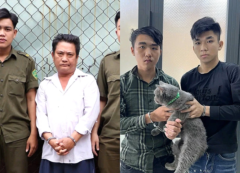 Công an TPHCM kiên quyết quét sạch nạn trộm thú cưng