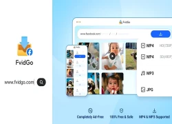 Đánh giá FvidGo: Trình tải Facebook tốt nhất & Alternatives