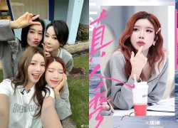 Tỷ Tỷ cô lập Trang Pháp, không ai chọn về đội, 2/3 thành viên không tự nguyện