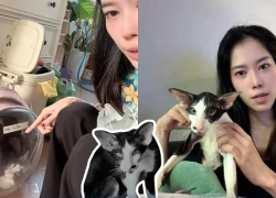 Nam Em goes crazy, crying and screaming. Netizens feel sorry for the cat and scold her for locking it in a backpack for 8 hours.