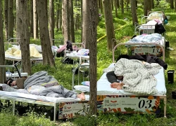 Cuộc thi ngủ trong rừng đang hot ở Trung Quốc, 400 suất đăng ký, thưởng khủng