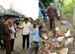 Mang "gà chín cựa" tới Đền Hùng, người đàn ông "hé lộ" điều bất ngờ